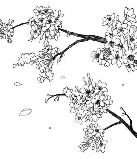 Flower Drawing Tumblr, Anime Cherry Blossom, Sakura Tree, Blossoms Art, Tree Drawing, Blossom Trees, Cute Wallpaper Backgrounds, Flower Illustration, Anime Background