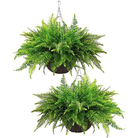 PRICES MAY VARY. Lifelike Foliage: Crafted with premium synthetic materials, these faux ferns boast lush, verdant fronds for a naturalistic appearance. Versatile Décor: Suitable for indoor or outdoor use, these hanging plants instantly liven up living rooms, bedrooms, kitchens, patios, and more. Low Maintenance: Unlike live plants, these artificial ferns require no water, sunlight, or pruning, making them hassle-free décor pieces. Hanging Design: Featuring sturdy hanging baskets, these faux fern Plants For Front Porch, Front Porch Living, Hanging Ferns, Artificial Hanging Baskets, Fake Potted Plants, Fake Hanging Plants, Greenery Plants, Living Room Garden, Artificial Hanging Plants