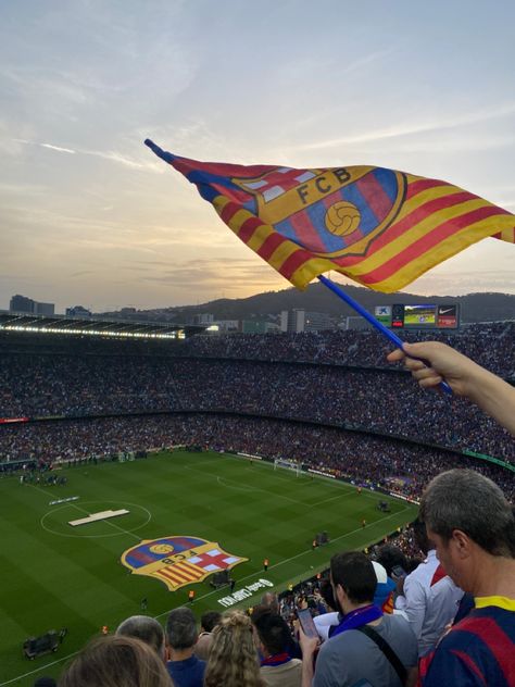 Barca Stadium, Barcelona Stadium, Nou Camp, Barcelona Flag, Barcelona Aesthetic Football, Camp Nou Aesthetic, Fc Barca, Barcelona Club, Soccer Game