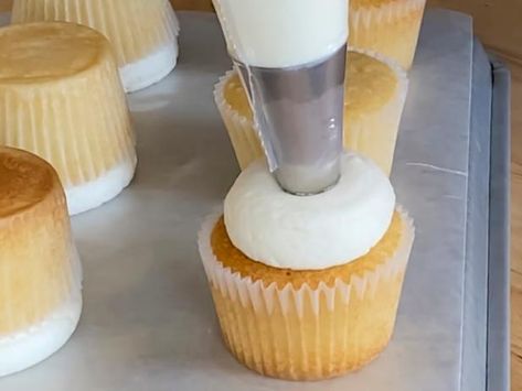 How To Bake Flat Cupcakes, 2 Tone Frosting Cupcake, How To Make Cupcake Frosting Flat, How To Make Flat Top Icing Cupcakes, Flatten Icing On Cupcakes, Different Cupcake Frosting Techniques, Flat Frosting On Cupcakes, Iced Cupcakes Ideas, How To Flatten Icing On Cupcakes