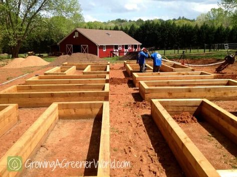 Raised Bed Frame, Indoor Vegetables, Building Raised Garden Beds, Vegetable Garden Raised Beds, Building A Raised Garden, Indoor Vegetable Gardening, Vegetable Garden Design, Raised Bed, Easy Garden