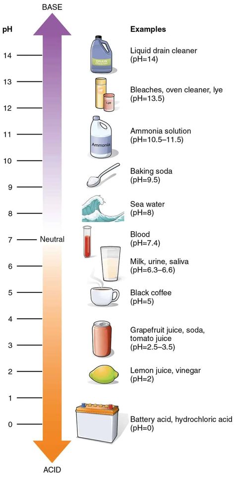 The pH of Dish Soap: How It Affects Cleaning Power and Your Skin » RusticWise Baking Soda Shampoo Recipe, Vinegar Rinse, Dirty Hippie, Baking Soda Vinegar, No Poo, Baking Soda Uses, Baking Soda Shampoo, Asian Skincare, Homeschool History