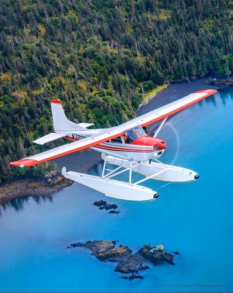 Helicopter Cockpit, Sea Planes, Pilot Career, Cessna Aircraft, Light Sport Aircraft, Amphibious Aircraft, Homer Alaska, Bush Plane, Wwii Fighter Planes