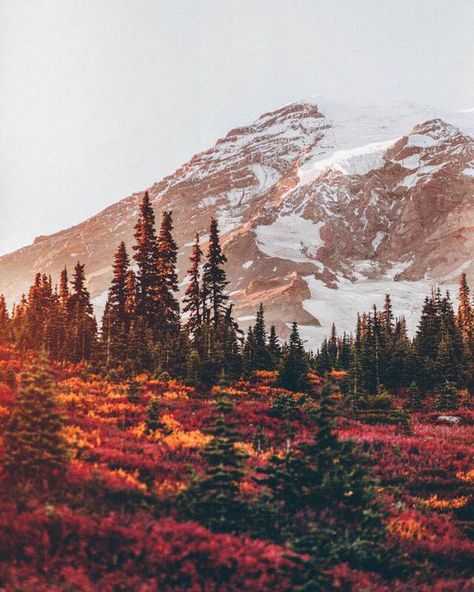 Embedded image permalink Colorful Mountains, Wallpaper Tumblr, Fall Wallpaper, On The Ground, Pretty Places, The Great Outdoors, Beautiful Nature, Landscape Photography, Beautiful Places