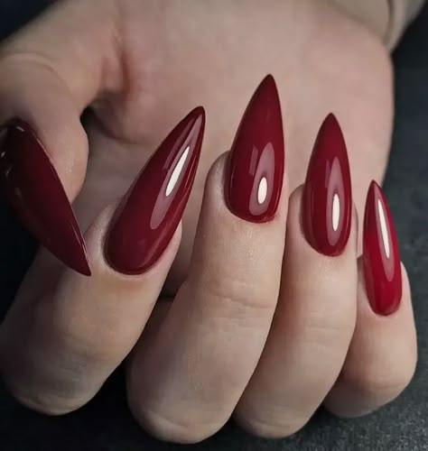 23 Best Fall Nail Colors: Trendy Designs for Autumn and Winter Fall Nail Colors Almond Shape, Burgundy Fall Nails, Almond Fall Nails, Fall Nail Colors Opi, Best Fall Nail Colors, Deep Red Nails, Fall Nail Ideas, Orange Nail Polish, Chic Nail Art