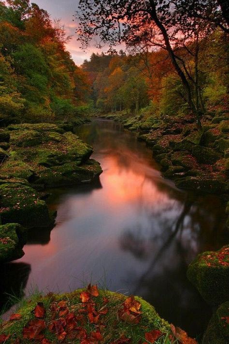 Brown Cottage, Bolton Abbey, Image Nature, Winter Sunset, Beautiful Background, Yorkshire Dales, Alam Yang Indah, Fall Leaves, Albania