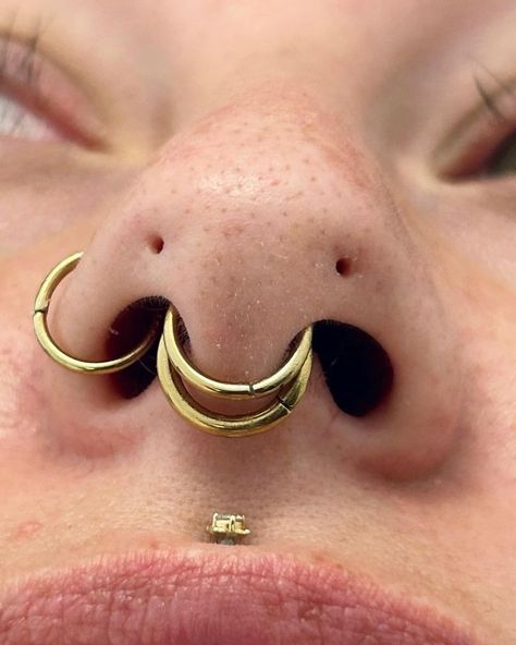 Chavez | APP Member | BVLA | SLO Piercing | Forward nostrils / Mantis piercings w/ 18k hinged rings and Meander VII chain by @leroifinejewellery I’m back from piercer retirement for... | Instagram Face Piercings Chart, Piercing Apprenticeship, Both Nostrils Pierced, Mantis Piercing, 3 Lobe Piercings, High Nostril Piercing, Face Piercings, Hinged Ring, Cool Piercings