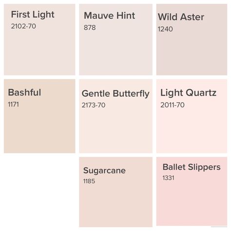 BM Pink Blushes Sugarcane Paint Color, Bm Sugarcane, Muted Pink Bedroom Walls, Wild Aster Benjamin Moore, Grayish Pink Paint Color, Bm Meadow Pink, Benjamin Moore Soft Pink Paint Colors, Tan With Pink Undertones Paint, Light Pink Room Color