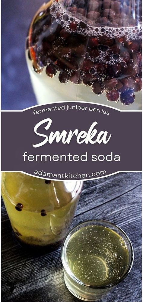 Explore the world of Balkan drinks with our Fermented Soda Smreka Recipe, a highlight in fermented soda recipes. Made with just juniper berries and water, this probiotic juniper soda is not only simple to make but offers a unique herbal lemonade flavor. Perfect for those looking for a healthy, homemade soda option. Discover more at adamantkitchen.com. Smreka Recipe, Herbal Lemonade, Fermented Soda, Wild Food Foraging, Foraging Recipes, Homemade Soda, Soda Shop, Berry Drinks, Probiotic Drinks