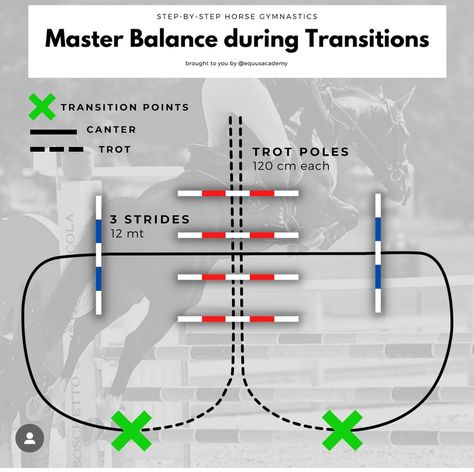 Jumping Courses For Horses, Jumping Excersises For Horses, Beginner Jumping Exercises Horse, Showjumping Course, Horse Jumping Distances, Horse Jumping Exercises, Jumping Exercises, Riding Ideas, Dressage Exercises