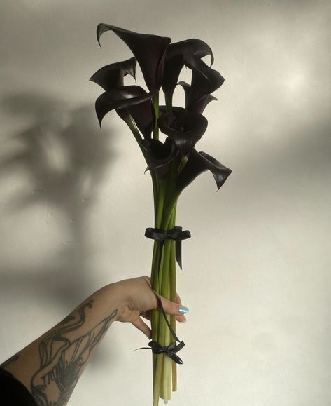 Anthurium Bouquet, Calla Lillies Bouquet, Black Calla Lily, Purple Calla Lilies, Goth Chic, Calla Lily Flowers, Calla Lily Bouquet, Lily Bouquet, Boquette Flowers