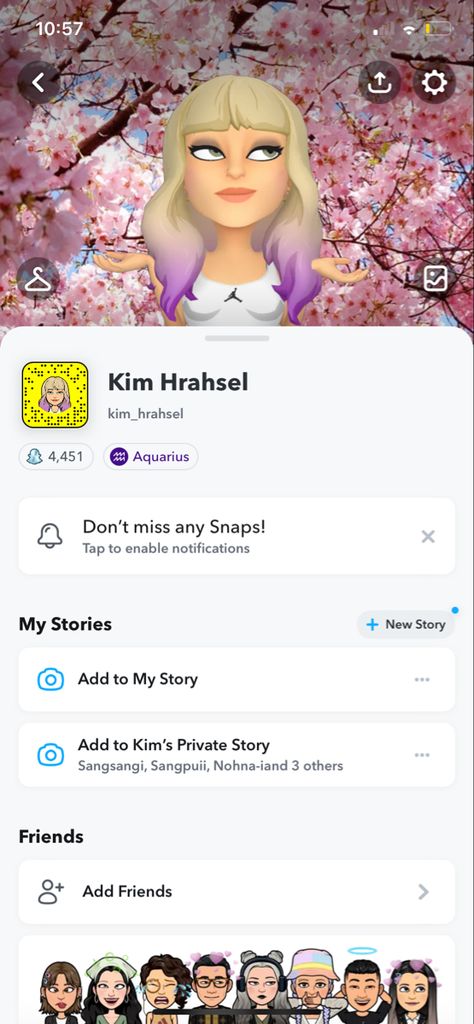 https://www.snapchat.com/add/kim_hrahsel?share_id=QUZGMjFCQTAtMTQ5Ny00Q0YyLUIxMUEtOUNBMTVFQTBBMDYz&locale=en_IN Snapchat Id, Add Friends, News Stories, Snapchat, 10 Things, Quick Saves