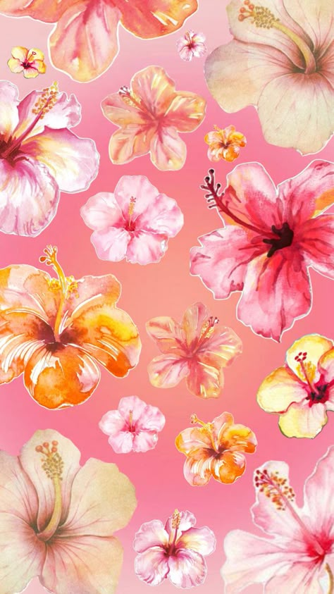 Hibiscus Flower Wallpaper Aesthetic, Hibiscus Wallpaper, Summer Prints Wallpaper, Pink Wallpaper Heart, Jelly Wallpaper, Cute Summer Wallpapers, Simple Iphone Wallpaper, Iphone Wallpaper Photos, Iphone Wallpaper Themes