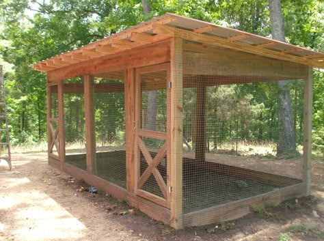 Homemade Chicken Run, Chicken And Duck Coop Combo, Chicken Shed Ideas, Chicken Coop Layout, Chicken Enclosure, Chicken Coop Decor, Chicken Coop Garden, Chicken Shed, Chicken Barn