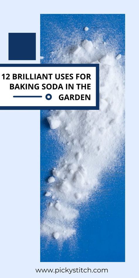 Pickystitch.com can help you improve the health of your garden with out 12 ways to use baking soda in the garden article. Read on for more info. Shed Farmhouse, Food Garden Ideas, Baking Soda In The Garden, Stuff Storage, Gardens Backyard, Gardening Food, Garden Organization, Vegetable Garden Ideas, Backyard Gardens