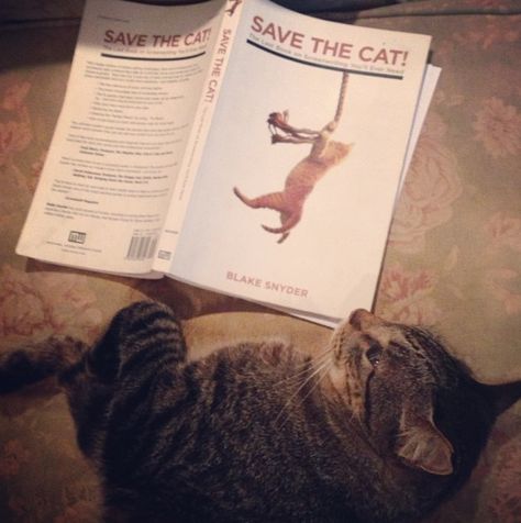 Save The Cat, by Blake Snyder Save The Cat, Creative Person, Creative Books, Cat Books, Making Things, Film Books, Book Show, Books To Buy, Reading Nook