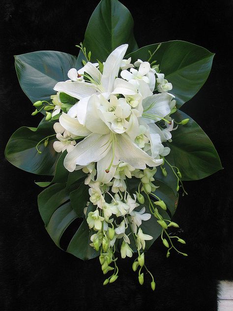 White oriental lilies and white Singapore orchids make the perfect summer bouqet. Wedding Bouquets White, Orchid Bridal Bouquets, Tropical Wedding Bouquets, Teardrop Bouquet, Bouquet Bride, Tropical Wedding Flowers, Orchid Bouquet, White Wedding Bouquets, White Bouquet