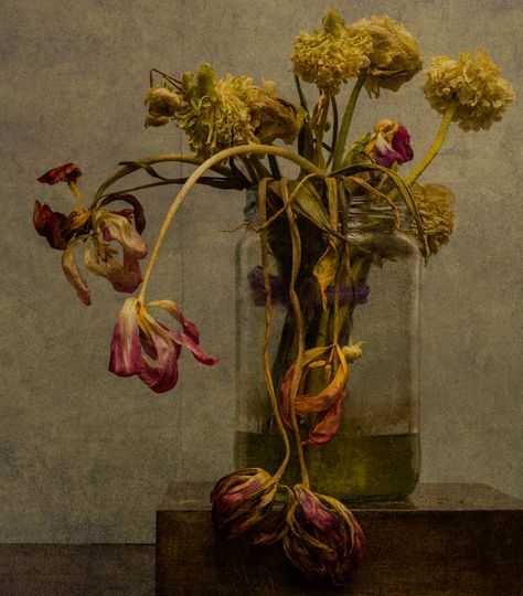 Italian Motifs, Goth Painting, Memento Mori Photography, Flower Portfolio, Memento Mori Photos, Decay Art, Dead Flowers, Ib Art, Beautiful Decay