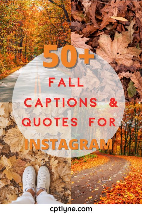 Fall in love with those perfect fall captions for Instagram! These quotes and captions are great for your nature photos. | autumn Instagram captions | fall Instagram captions | Instagram captions | fall captions for Instagram cute | fall captions for Instagram boyfriend | fall quotes and sayings | fall quotes aesthetic | fall pumpkins captions | fall aesthetic | autumn mood | short fall captions | fall bucket list | Fall Captions For Instagram Boyfriend, Autumn Instagram Captions, Autumn Puns, Fall Quotes Aesthetic, Fall Captions, Fall Puns, Instagram Boyfriend, Fall Instagram, Fall City