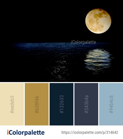 19 Celestial Event Color Palette ideas in 2021 | iColorpalette Celestial Wedding Palette, Dark Ocean Color Palette, Lunar Color Palette, Night Colour Palette, Night Color Scheme, Dark Blue Color Palette, Space Color Palette, Color Palette Theme, Moon Nature