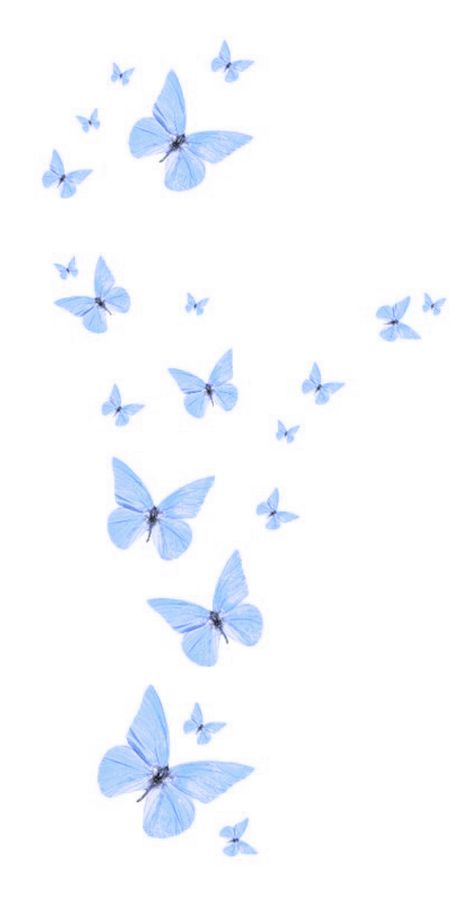 Blue Butterfly Aesthetic, Wallpaper Backgrounds Iphone, Tela Iphone, Baby Blue Wallpaper, Blue Butterfly Wallpaper, Cool Tumblr, Backgrounds Iphone, Iphone Wallpaper Hipster, Butterfly Wallpaper Iphone