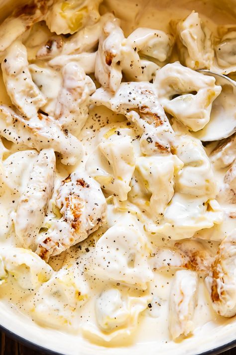 Chicken Tortellini Alfredo Tortellini In White Sauce, Tortellini Alfredo Recipes, Alfredo Tortellini Bake, Chicken Alfedo, Chicken Tortellini Recipes, Chicken Tortellini Alfredo, Chicken Alfredo Tortellini, Tortellini Chicken, Alfredo Tortellini