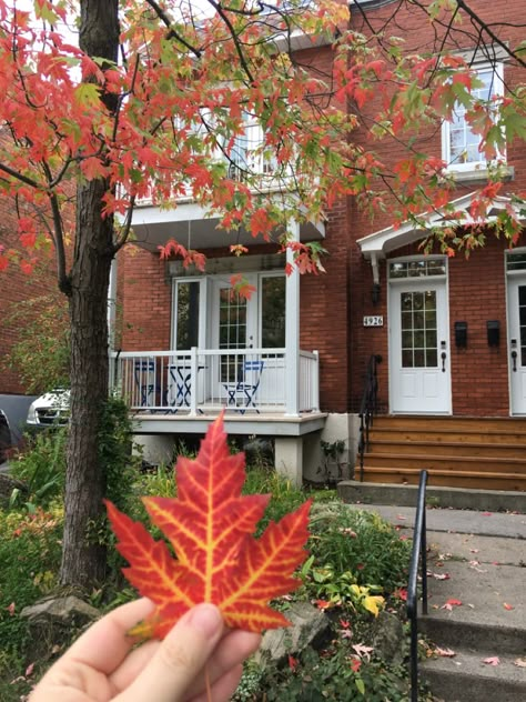 Canada Autumn Aesthetic, Montreal Fall Aesthetic, Montreal Fall, Fall In Canada, Canada Outfit, Thanksgiving Canada, Canada Aesthetic, Fall View, Canada Fall