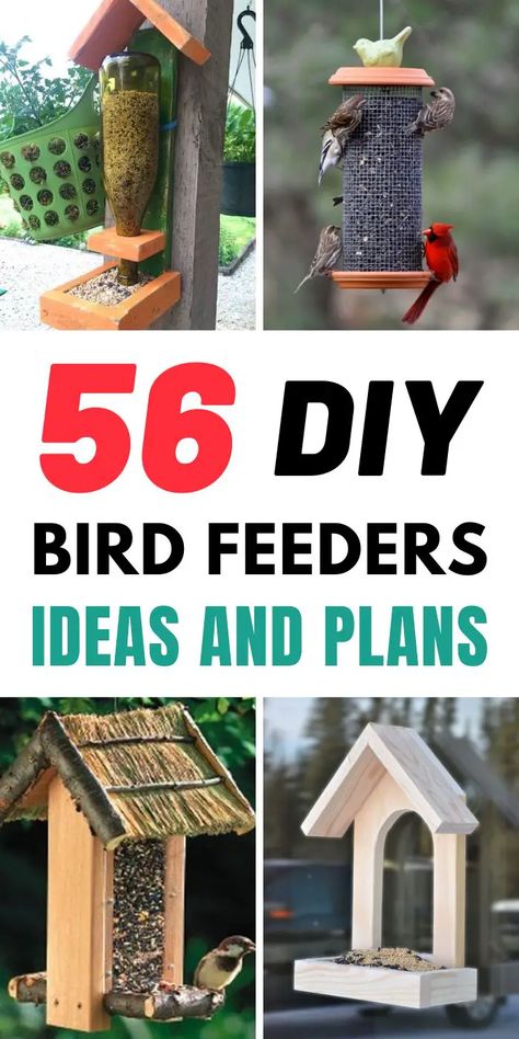 There are a lot of ways to design, build, and decorate a bird feeder. You can make by yourself one with your creative minds, or simply refer to the top 56 ideas and plans of Bird Feeder Patterns Free, Cedar Bird Feeder, Bird Feeders Ideas, Lentils Instant Pot, Bird House Plans Free, Blink Camera, Squirrel Feeders, Bird House Plans, Diy Bird Feeder