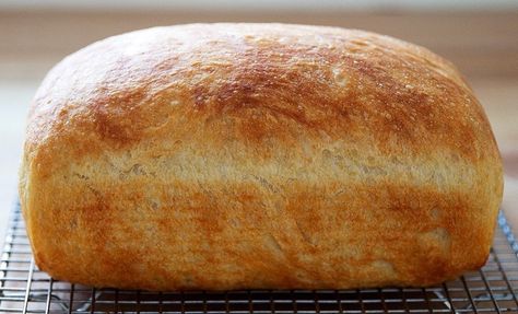 Cup Of Joe Bread Recipe, Dish Of The Day Bread Recipe, Easy Pheasant Bread, 1 Day Bread Recipe, Cup Of Jo Peasant Bread, Shepherds Bread Recipe, No Knead Peasant Bread Recipe, Meals And Munchies Peasant Bread, Peasant Bread Recipes