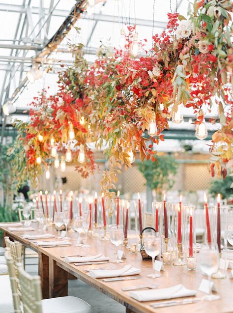 A Colorful Autumn Wedding at Fairmount Horticulture Center – Philadelphia Film Wedding Photography Fall Wedding Color Schemes, Fair Photography, Flowers Hanging, Ceremony Arch, Hanging Flowers, Fall Wedding Colors, Long Table, Wedding Color Schemes, Chic Wedding