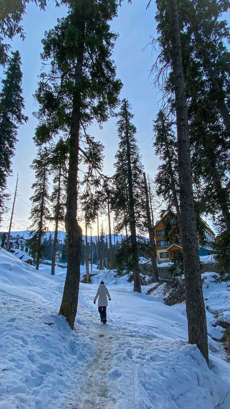 Gulmarg Kashmir Photography, Gulmarg Kashmir, Kashmir Tourism, Kashmir Trip, Scenic Travel, Somewhere Only We Know, Natural Face Skin Care, Board Inspiration, Vision Board Inspiration