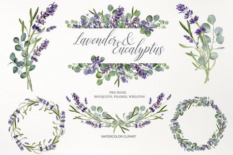 Watercolor eucalyptus leaves and lavender flower clipart#lavenderclipart #eucalyptusbranch #floralframe Watercolor Lavender Flowers, Flower Bouquet Png, Wedding Present Ideas, Png Wedding, Leaves Clipart, Eucalyptus Lavender, Watercolor Collection, Watercolor Eucalyptus, Feuille Eucalyptus