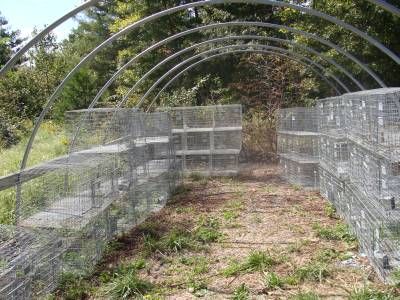 How To Construct Show, 4-H, or Meat Rabbit Hutches From Welded Wire Wire Rabbit Cages, Rabbit Pen, Diy Rabbit Cage, Show Rabbits, Raising Rabbits For Meat, Rabbit Habitat, Meat Rabbits, Rabbit Breeds, Raising Rabbits