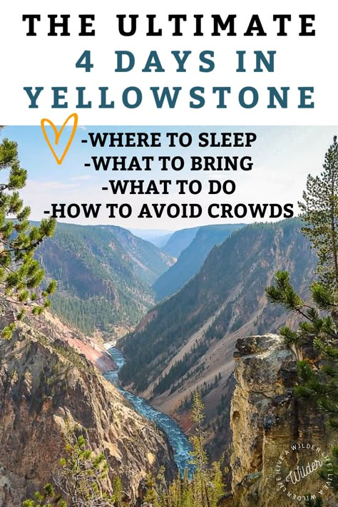 Yellowstone Itinerary 2 Days, Jackson Hole Yellowstone Itinerary, Yellowstone Travel Guide, Yellowstone In October, Yellowstone Trip Itinerary, Yellowstone In May, Yellowstone National Park Itinerary, Yellowstone Hikes, Yellowstone Vacation Planning