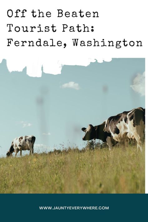 Find out way a vacation in Ferndale, in northwest Washington might be your most relaxing vacation ever. Ferndale Washington, Washington Travel, Relaxing Vacations, Travel Images, Travel Planning, Road Trip Usa, Usa Travel, Washington State, Pacific Northwest