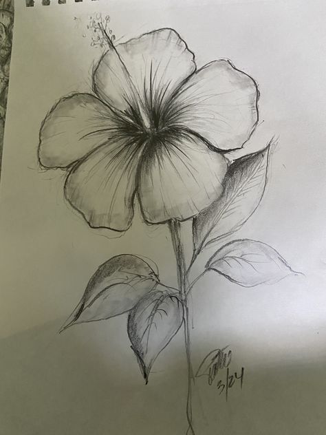 Flower Reference Drawing Sketch, Plants Drawing Sketch, Realistic Drawings Flowers, Sketches Pencil Flower, Medium Drawing Ideas, Hand Drawing Flower, Flowers Aesthetic Sketch, Easy Sketches Flowers, Drawing Reference Flowers