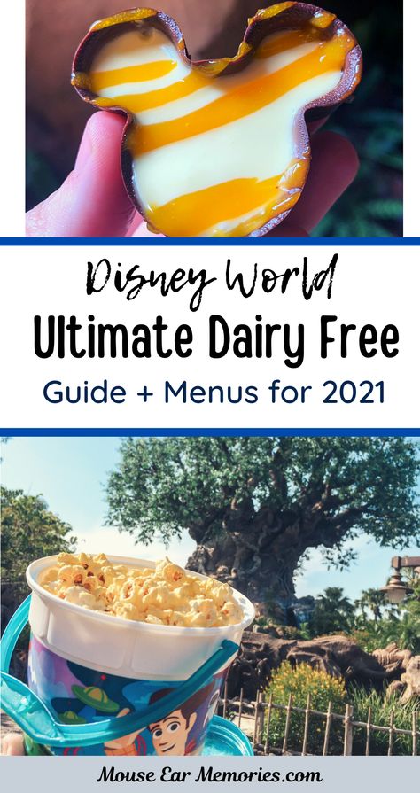 Dairy Free Desserts, Dairy Free Brownies, Disney World Tips, Dairy Free Snacks, Disney World Vacation Planning, Dairy Free Ice Cream, Disney World Food, Disney Dining Plan, Allergy Friendly Recipes