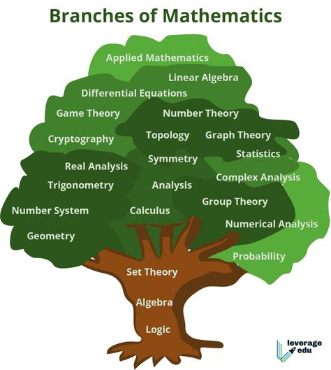 Branches Of Math, Branches Of Mathematics, Topology Mathematics, Math Rules, Math Classroom Posters, Science Exhibition, Group Theory, Abacus Math, Mathematics Art