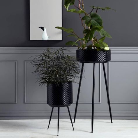 Trouva: Nordal Black Indian Metal Planter With Legs Decoration Hall, Iris Hantverk, Iron Planters, Black Planters, Plant Vase, Metal Planters, House Plants Decor, Decorative Planters, Small Planter