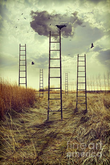 Ladders reaching into the sky in an autumn field- Sandra Cunningham Ladder Art Installation, Reaching To The Sky, Ladder Art, Autumn Field, Art Assemblage, Lady Macbeth, Jacob's Ladder, Installation Art, Utility Pole