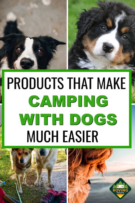 Camper Hacks With Dogs, Rv With Dogs Ideas, Rv Dog Hacks, Rv Camping With Dogs Hacks, Dogs In Camper, Rv Pet Hacks, Dog Rv Ideas, Camper Dog Ideas, Camping Dog Hacks