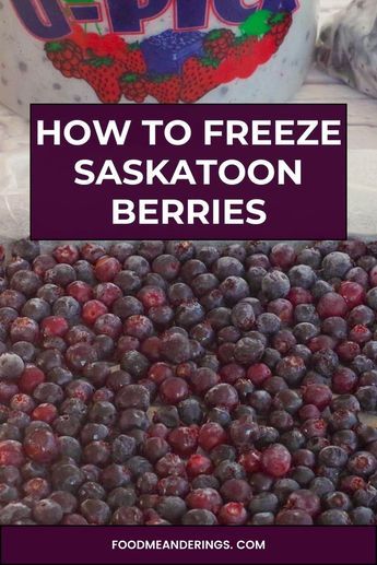 Learn how to freeze Saskatoon berries and use frozen Saskatoon berries in recipes, with step by step instructions. Saskatoon Berry Recipes, Saskatoon Recipes, Saskatoon Berry Recipe, Saskatoon Berry Pie, Berry Pie Filling, Saskatoon Berry, Food Tutorials, Berry Crisp, Preserving Herbs