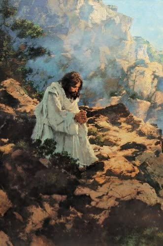 Michael Dudash, Greg Olsen, Jesus Artwork, Pictures Of Christ, Lds Art, Jesus Christ Art, Ayat Alkitab, Jesus Painting, Jesus Christ Images