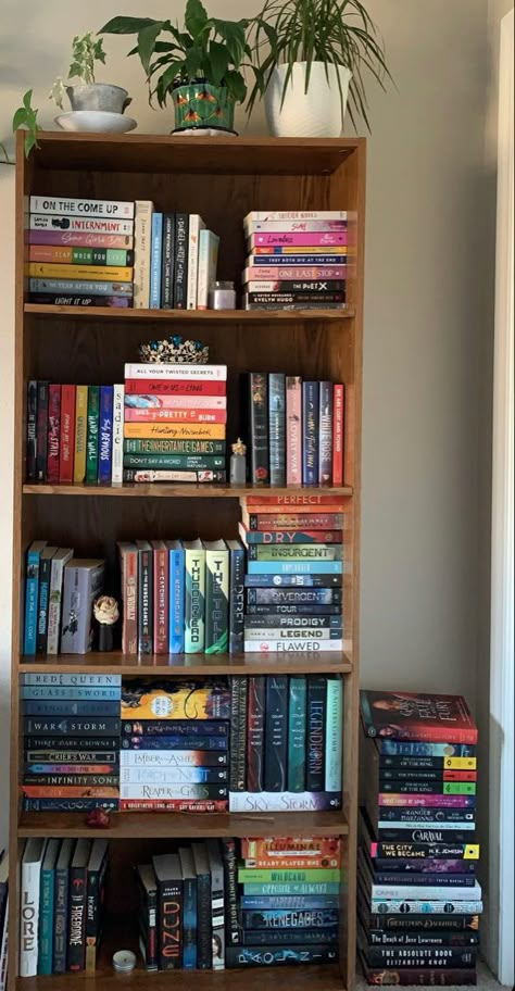 Brown Bookshelf Aesthetic, Book Themed Bedroom, Book Drawer, Book Shelves Wall, Home Library Diy, Bookish Home, Bookshelf Aesthetic, Bookshelf Inspiration, Colorful Room Decor