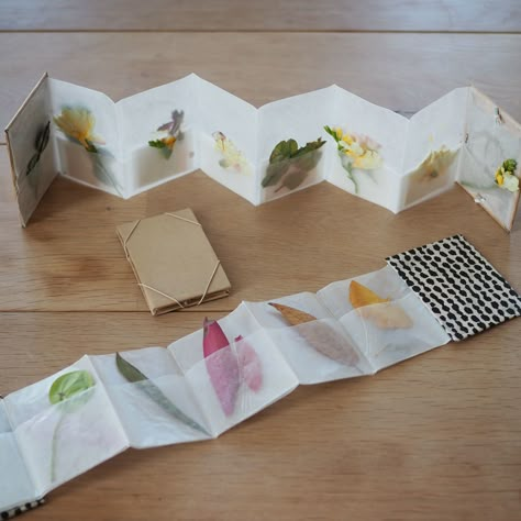 make your own: paper petal press. – Reading My Tea Leaves – Slow, simple, sustainable living. Library Take And Make Crafts, Mini Art Projects, Tiny Scrapbook, Paper Accordion, Book Making Ideas, Erin Boyle, Reading My Tea Leaves, Make Your Own Paper, Pressed Botanicals