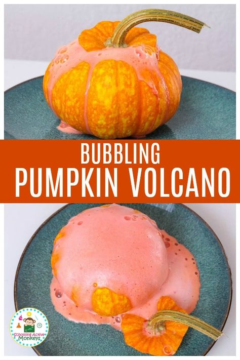 How much fun will the kids have with this pumpkin volcano? This fun pumpkin science experiment is perfect for a Halloween party activity or fall party activity for kids! #stemed #stemactivities #scienceexperiments #scienceforkids #fallactivities Science Volcano, Pumpkin Volcano, Volcano For Kids, Forest Activities, Pumpkin Science Experiment, Fun Chemistry, Fall Stem Activities, Making A Volcano, Pumpkin Science