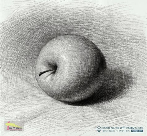 Value Drawing, Drawing Apple, Shadow Drawing, Black And White Art Drawing, Art Basics, Object Drawing, Perspective Art, Charcoal Art, Basic Drawing