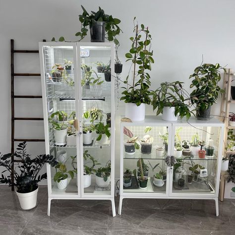 Diy indoor greenhouse