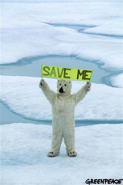 What Is Climate, Save The Polar Bears, Save The Arctic, Save Planet Earth, Save Our Earth, Protest Signs, Save Earth, Pics Art, Save The Planet