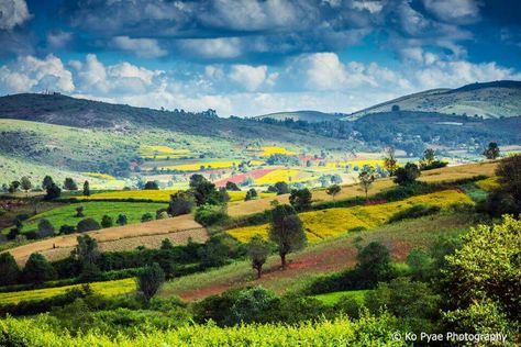 Beautiful Kalaw (or) Switzerland of Myanmar High up in western Shan State, Kalaw is an old hill station with a laid back atmosphere, refreshing climate and scenic views. Many of Kalaw’s original colonial-era buildings remain, and it is also known as Myanmar’s trekking mecca. Photo credit: original owners Kalaw Myanmar, Kalaw Myanmar Photography, Hill View Landscapes, Shan State Myanmar, ရှုခင်းပုံများ Myanmar, Kalaw, Just Friends Quotes, Myanmar Art, Boy Best Friend Pictures